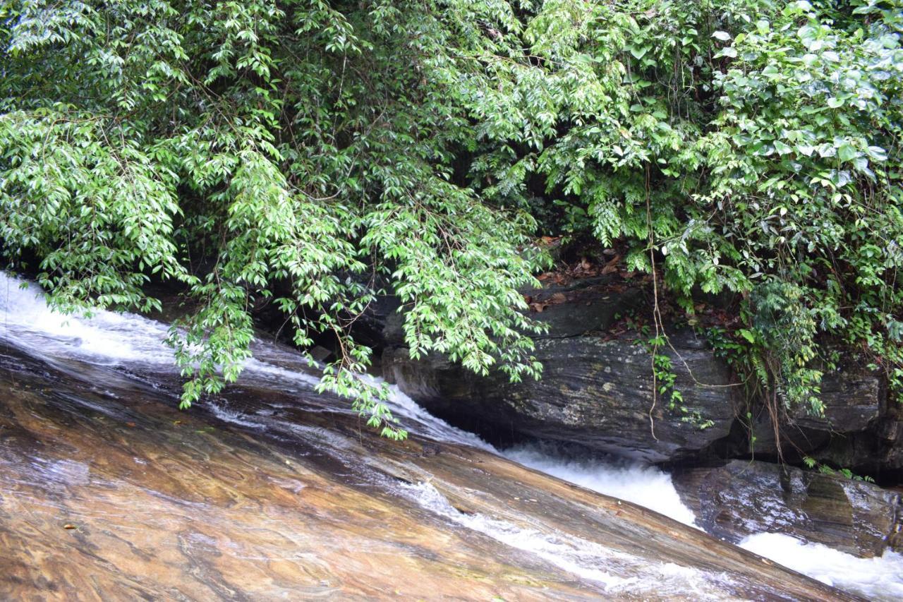 Royal River Resort Kitulgala Zewnętrze zdjęcie